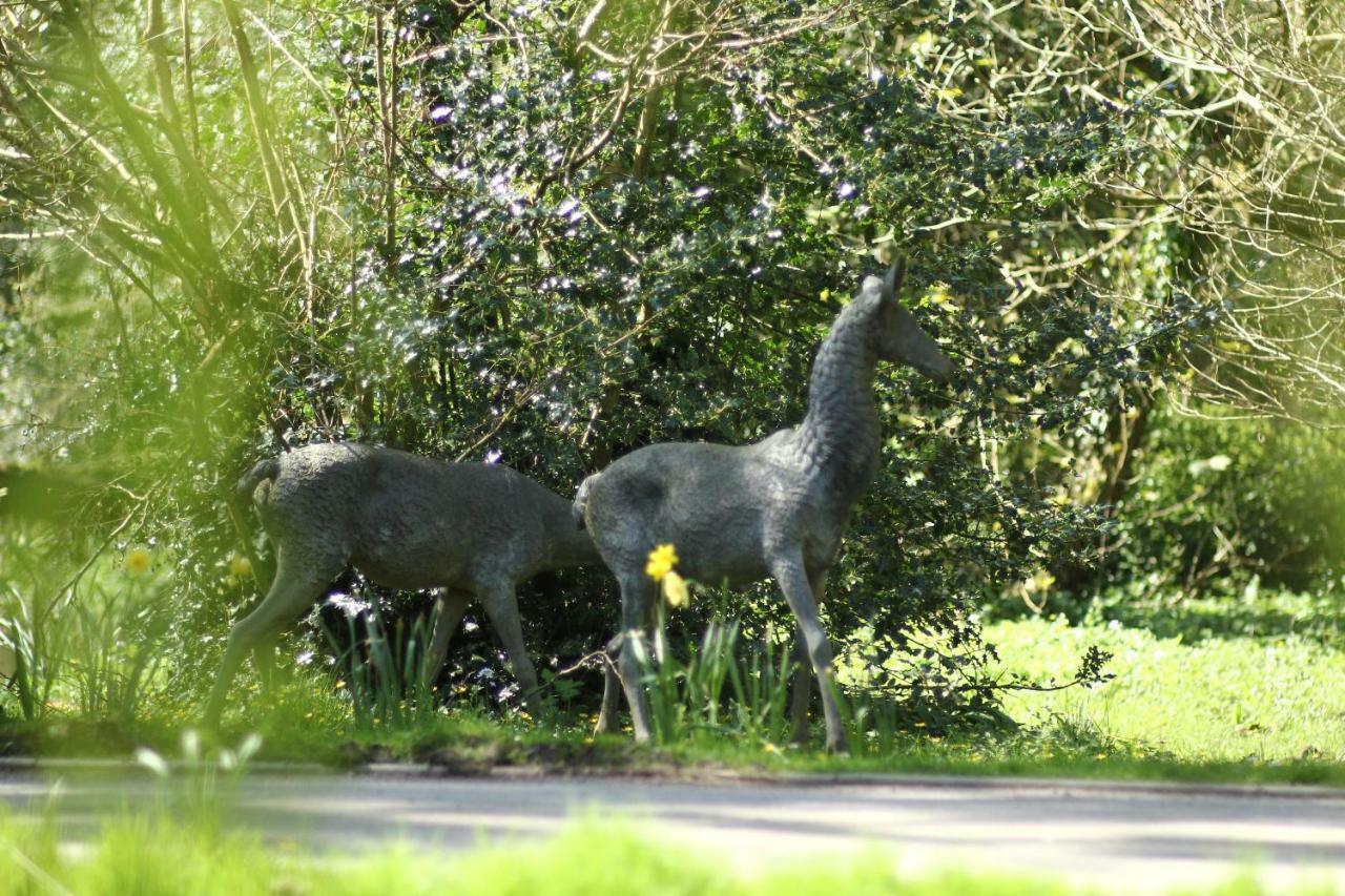 Pencoed House Estate Guest House คาร์ดิฟฟ์ ภายนอก รูปภาพ